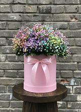 Цветочная композиция из Гипсофила и Розы в шляпной коробке в Агроном