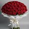 Букет 101 Красная роза Блэк Мэджик в Агроном