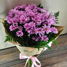 Букет цветов из:  Хризантемы #REPLACE_PRED# Агроном