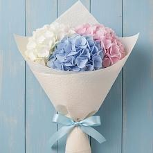 Букет цветов из:  Гортензия #REPLACE_PRED# Агроном