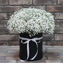 Цветочная композиция из Гипсофила в шляпной коробке в Агроном