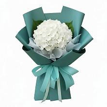 Букет цветов из:  Гортензия #REPLACE_PRED# Агроном